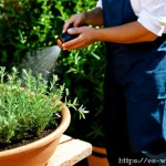 Home 23 유기농 해충 퇴치에 효과적인 천연 에센셜 오일 - Photorealistic sunlit Spanish Mediterranean kitchen garden, a gardener in natural work clothes gentl...