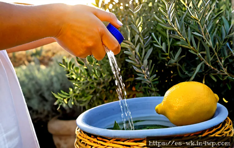 Aceites esenciales naturales para controlar plagas en huertos ecológicos 3 유기농 해충 퇴치에 효과적인 천연 에센셜 오일 관련 이미지 1